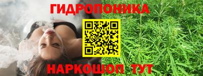 Альфа ПВП Михайловка