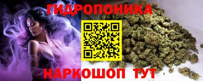 Альфа ПВП Михайловка